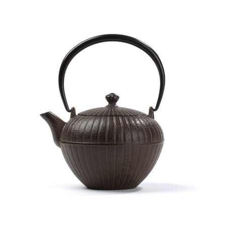 Théière fonte du Japon - Chakatake Dammann Frères