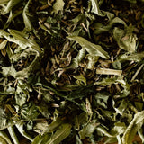 Infusion BIO Allaitement en boîte de 18 sachets
