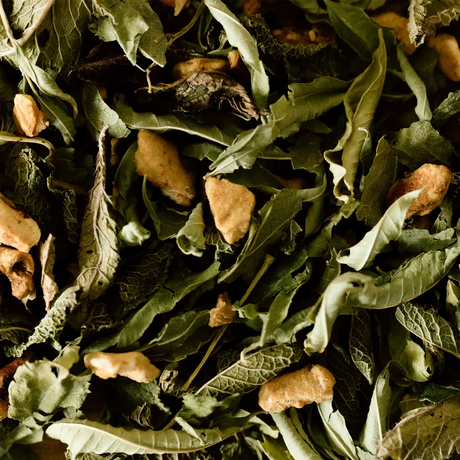 Infusion BIO Enfants en boîte de 18 sachets aux notes fruitées