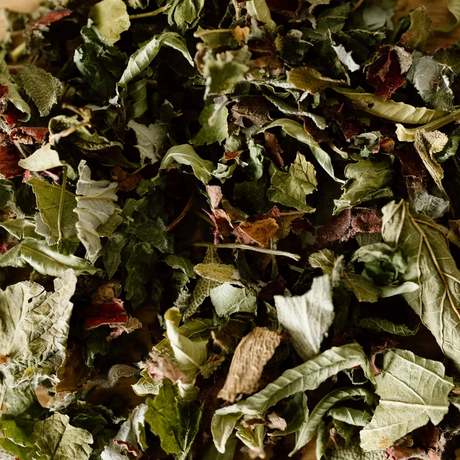 Infusion BIO Ménopause en boîte de 18 sachets aux plantes