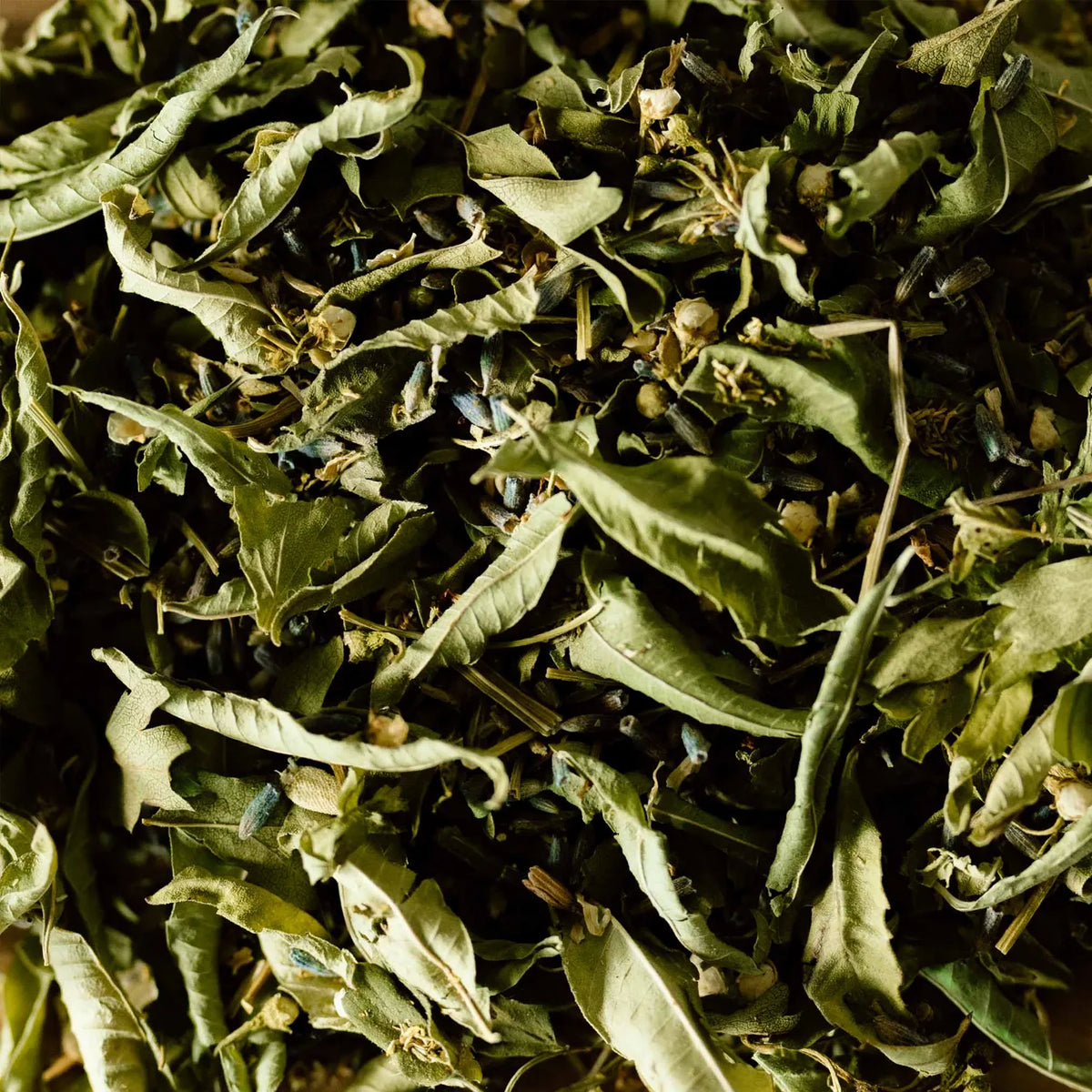 Infusion BIO Sommeil en boîte de 18 sachets aux notes citronnées