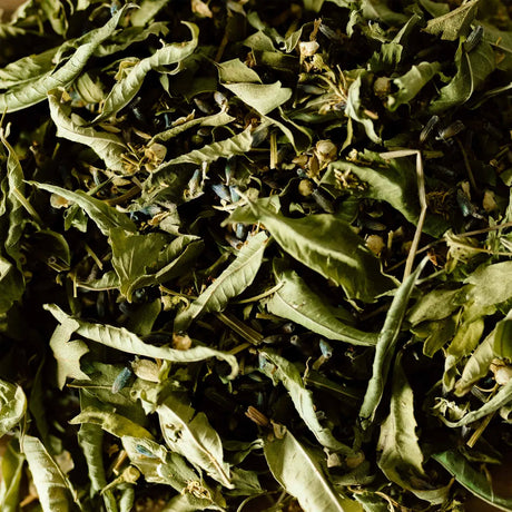 Infusion BIO Sommeil en boîte de 18 sachets aux notes citronnées