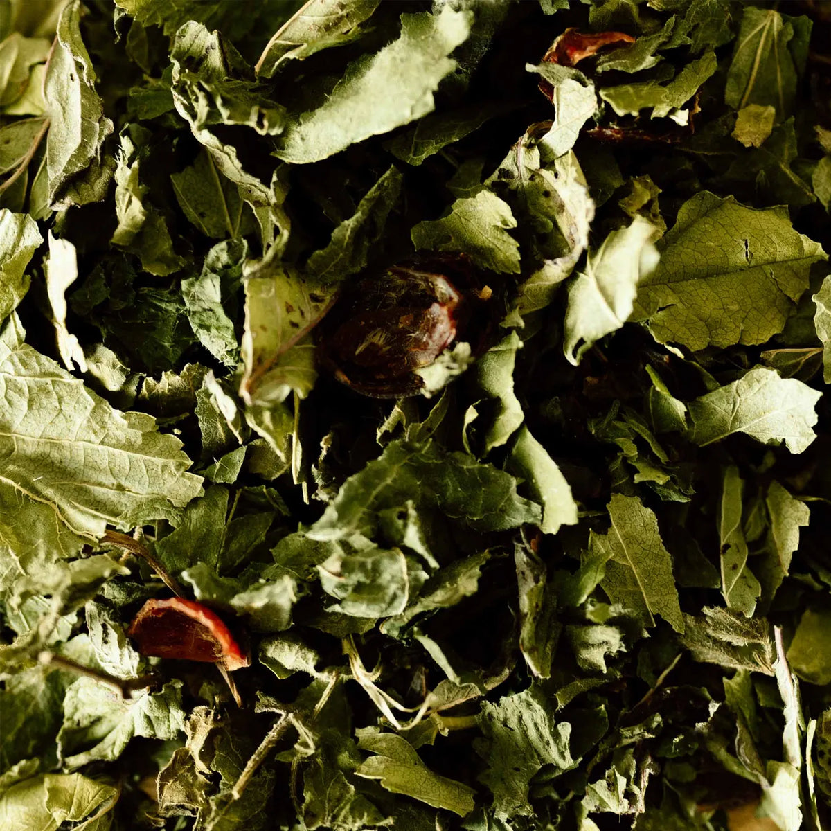 Infusion des Volcans BIO en boîte de 18 infusettes
