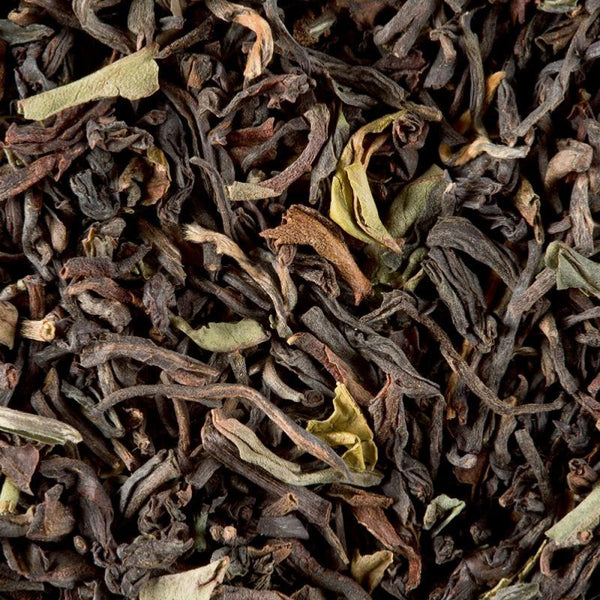 ThÃ© Noir Darjeeling Jungpana G.F.O.P 2nd Flush - 100 Gr | Dammann FrÃ¨res - Graindecafe