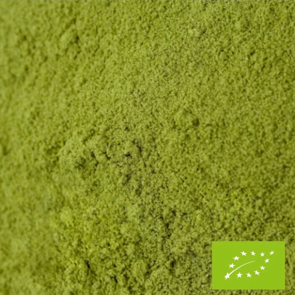 Matcha Honoka BIO de FBKT