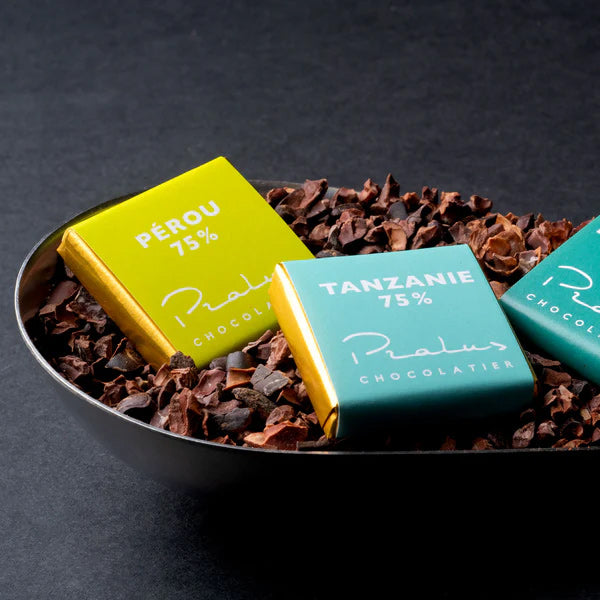 Mini Pyramide Chocolat Bio - 75% cacao - 50g - Pralus - Graindecafe