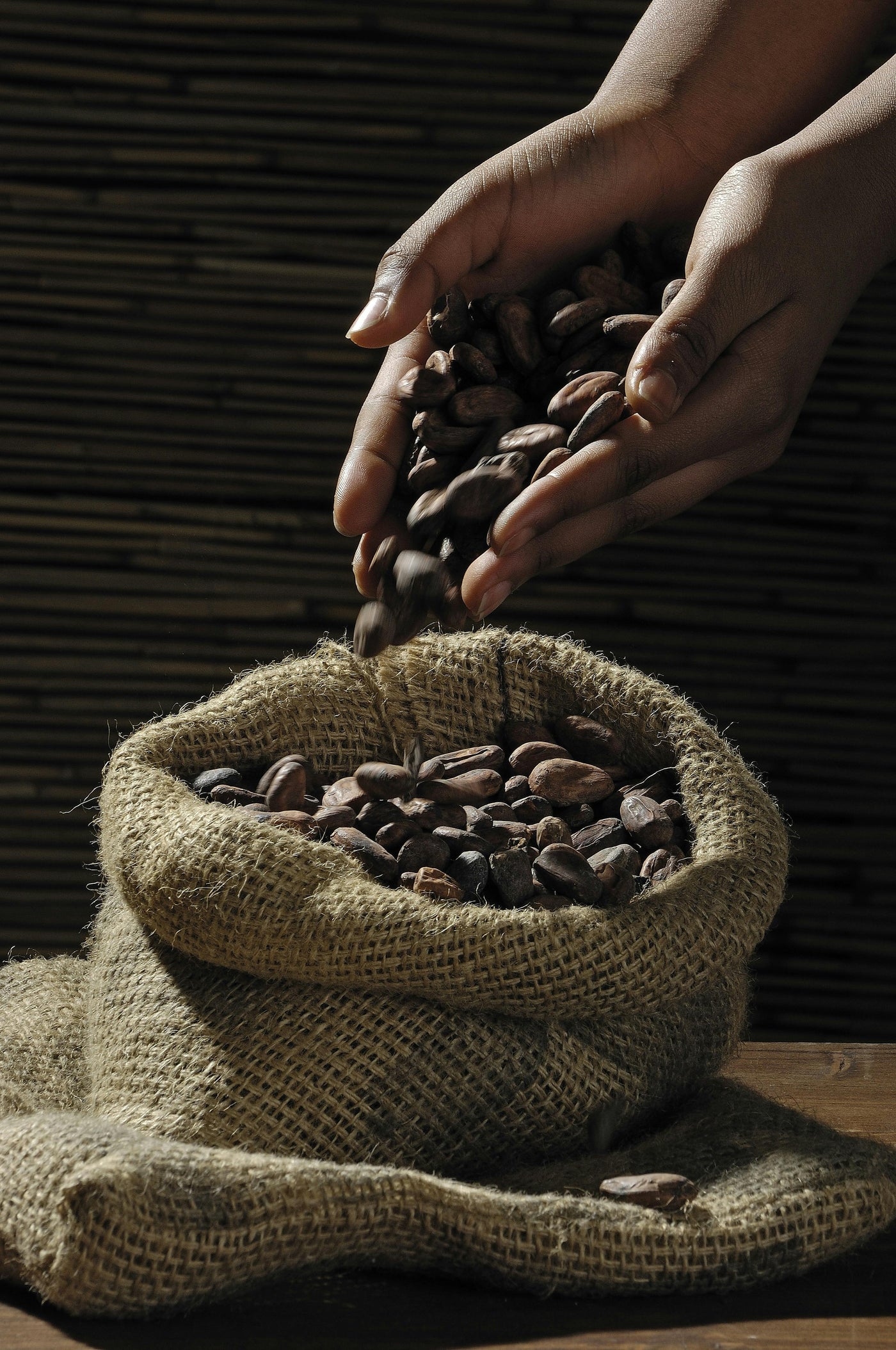 graines de cacao