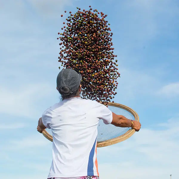 Étapes finales avant exportation