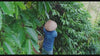 Graindecafe meilleur site de café