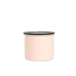 Boite Conservatrice Inox Rose Blossom 250 Gr de Airscape
