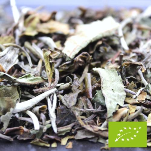 Sachet thé blanc Chine Pai MU Tan BIO FBKT