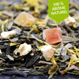 Sachet thé vert glacé citron pêche FBKT