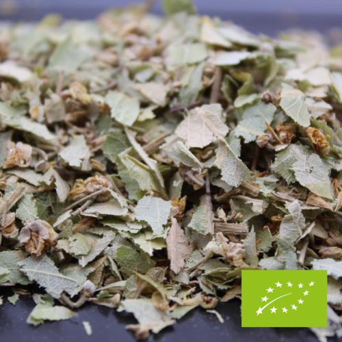 sachet infusion bio tilleul FBKT