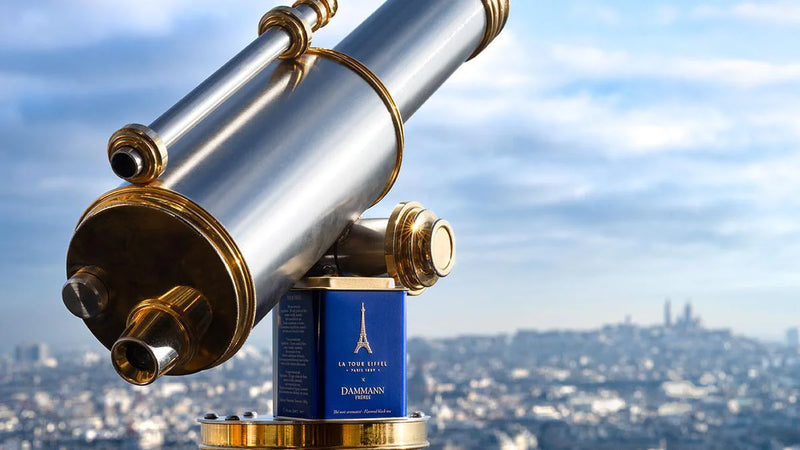 the tour eiffel Dammann freres