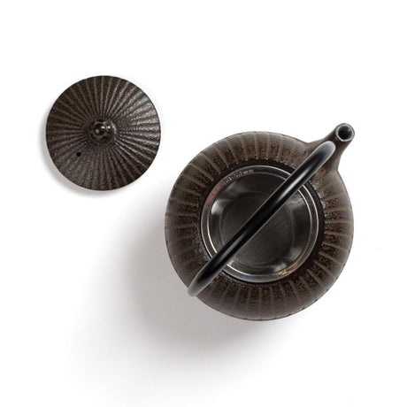 Véritable Théière fonte du Japon