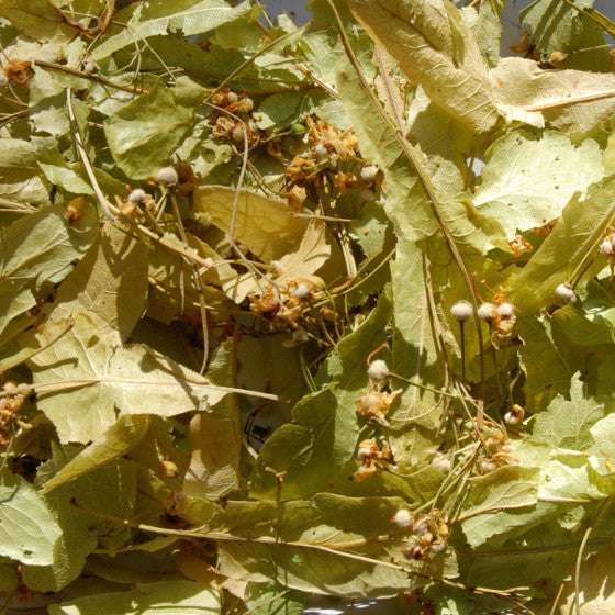 feuille de tilleur dammann