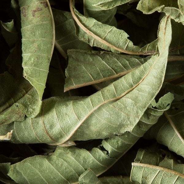 feuille de verveine Dammann Frères