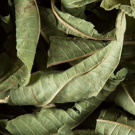 feuille de verveine Dammann Frères