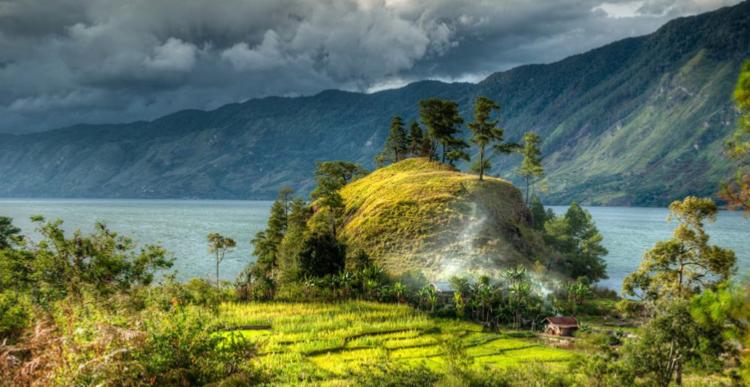 Indonésie sumatra Mandheling